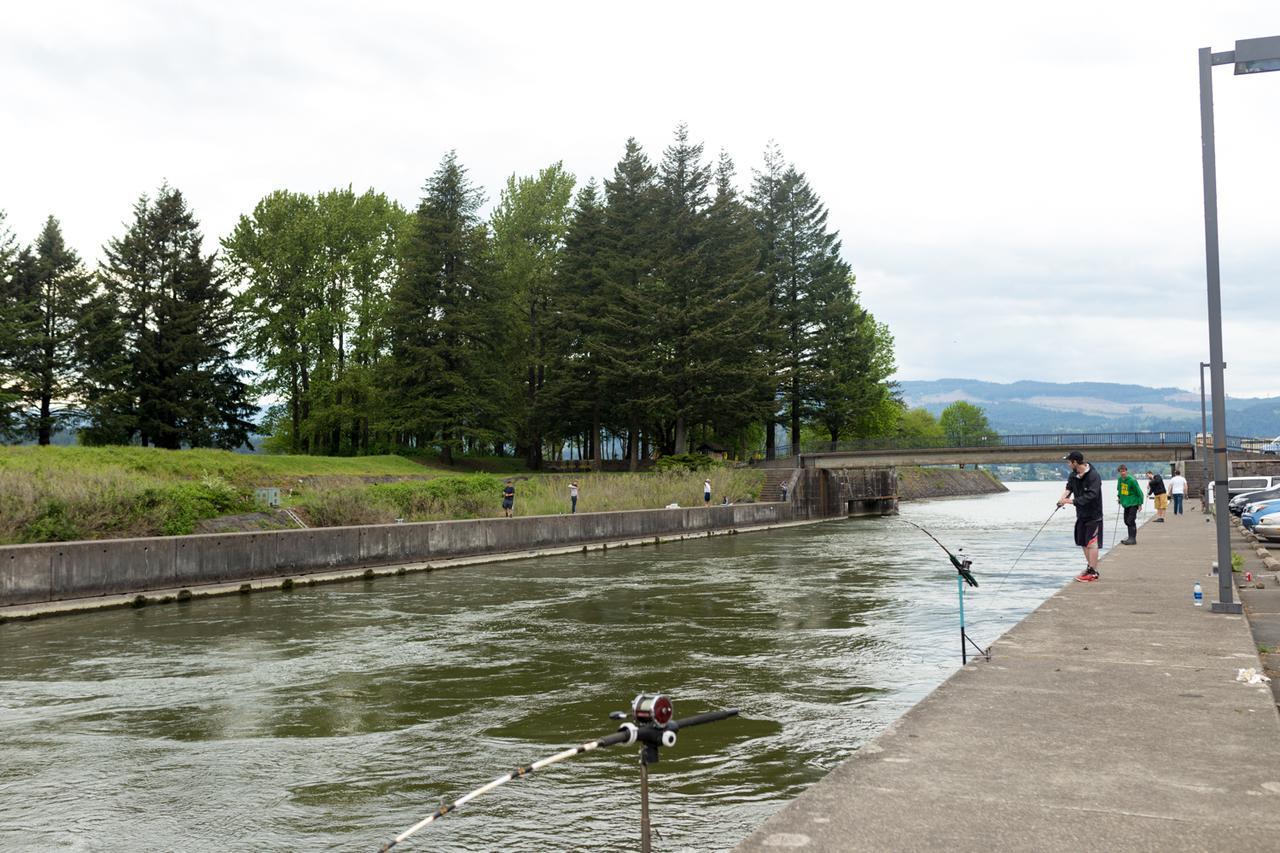 Columbia Gorge Inn カスケード・ロックス エクステリア 写真